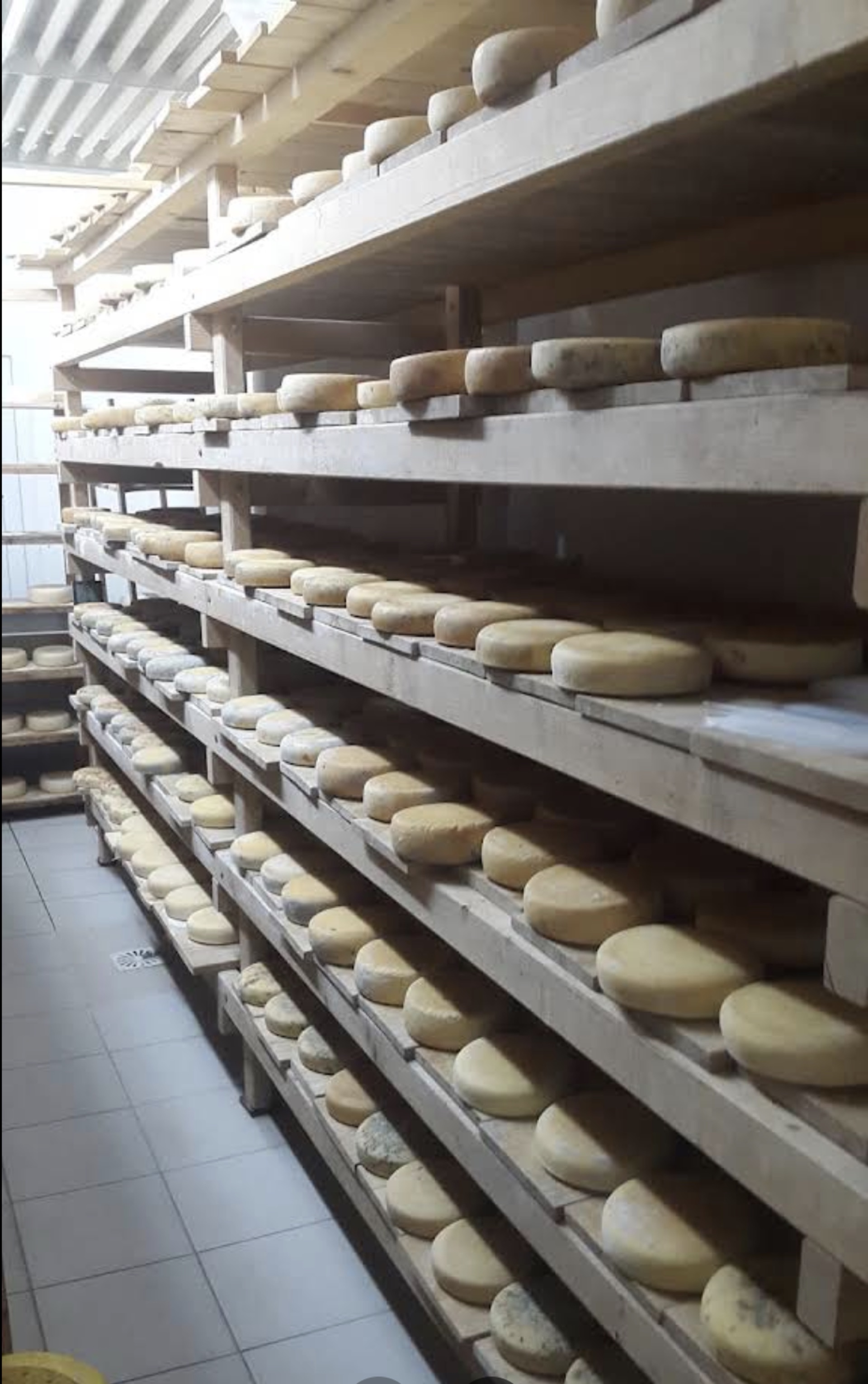 Artisanal cheese